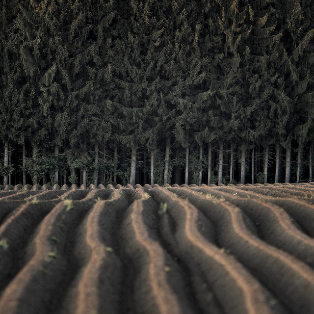  Joerg Marx photographie