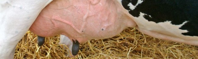50857035 f7ed970f6c o Le nouveau nombre Pi a été découvert par un ordinateur de bureau