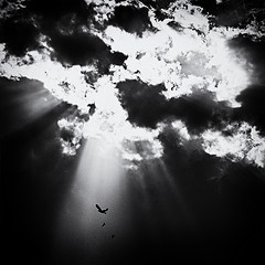 .blaze of glory.