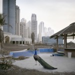 Abandoned Dubai10 Abandoned Dubai10