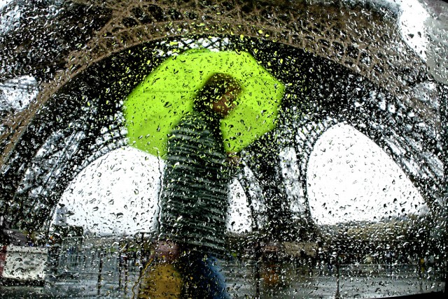 Graines d'eau Graines d'eau - Christophe Jacrot