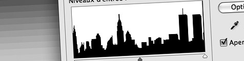 manhattan histoface