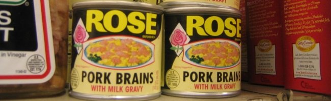 porkbrain Twitter avec son cerveau