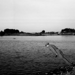 WangNingde01 WangNingde01