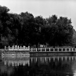 WangNingde13 WangNingde13